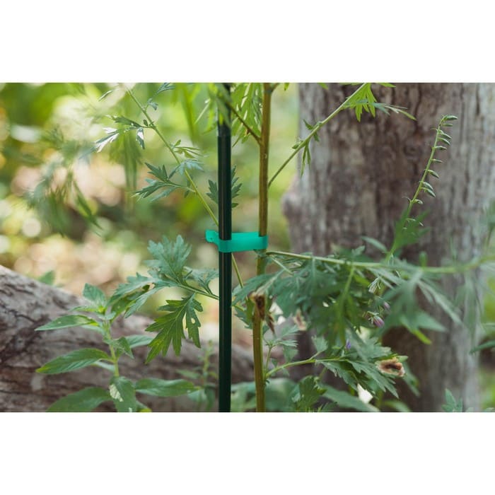 картинка Тапенер для подвязки растений Tapetool «B», лента 25 м + скобы, Greengo от магазина АСЯ