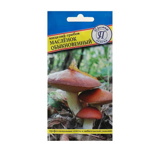 картинка Мицелий грибов Маслёнок обыкновенный, 50 мл от магазина АСЯ